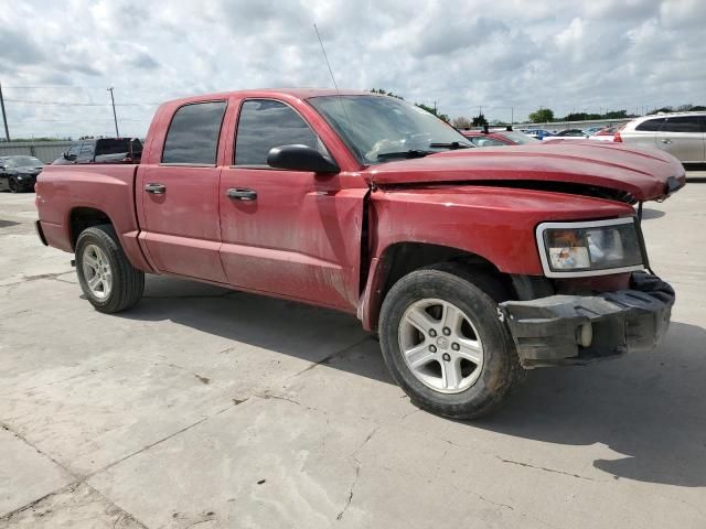 2010 Dodge Dakota SXT