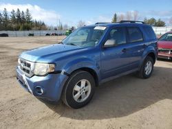 Salvage cars for sale at Bowmanville, ON auction: 2009 Ford Escape XLT