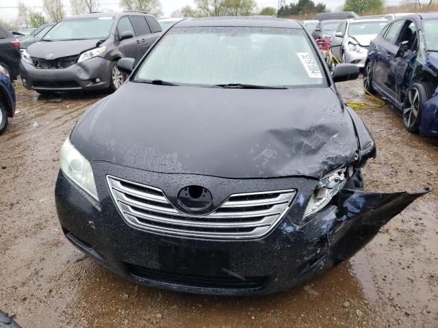 2009 Toyota Camry Hybrid