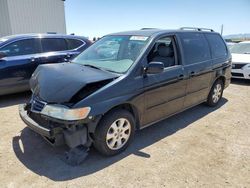 Salvage cars for sale at Tucson, AZ auction: 2003 Honda Odyssey EXL