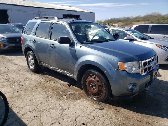 2010 Ford Escape XLT