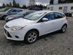 Salvage cars for sale from Copart Graham, WA: 2014 Ford Focus SE