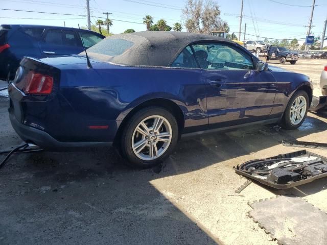 2010 Ford Mustang