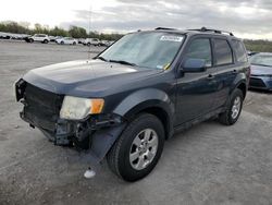 Salvage cars for sale at Cahokia Heights, IL auction: 2009 Ford Escape Limited