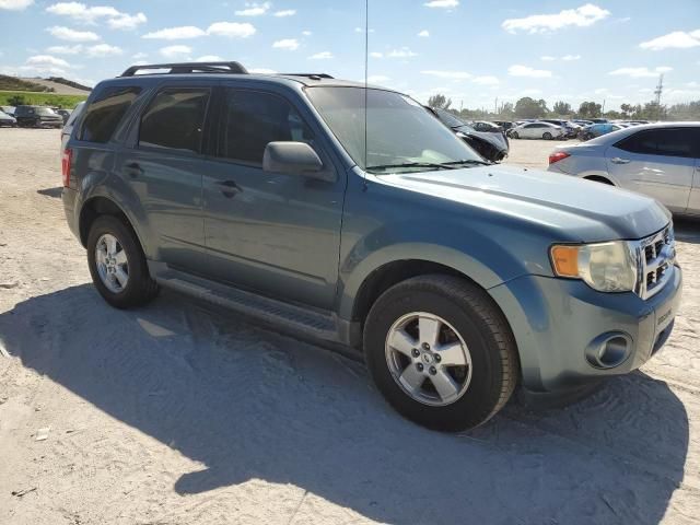 2010 Ford Escape XLT