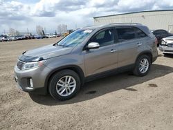 Salvage cars for sale from Copart Rocky View County, AB: 2014 KIA Sorento LX