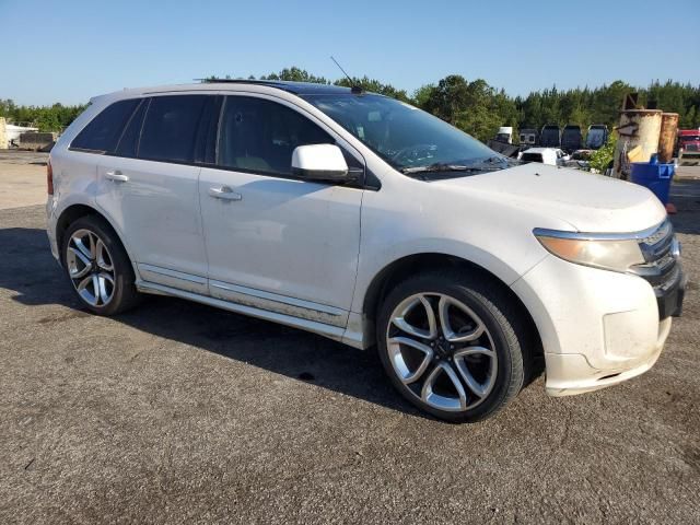 2011 Ford Edge Sport