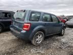 2011 Ford Escape XLS