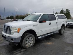 Salvage trucks for sale at Denver, CO auction: 2011 Ford F150 Supercrew