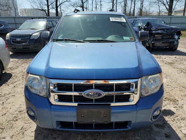 2010 Ford Escape XLT