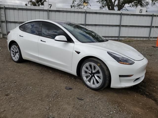 2021 Tesla Model 3