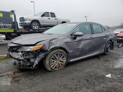 Salvage cars for sale at East Granby, CT auction: 2023 Toyota Camry XLE