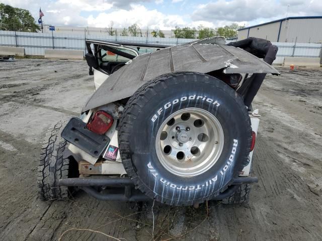 2002 Jeep Wrangler / TJ X