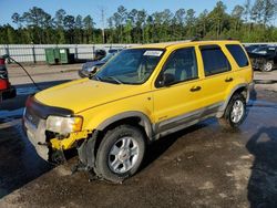Salvage cars for sale at Harleyville, SC auction: 2002 Ford Escape XLT