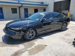 Salvage cars for sale at Fort Pierce, FL auction: 2023 Honda Accord EX