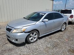 Salvage cars for sale at Temple, TX auction: 2010 Toyota Camry Base