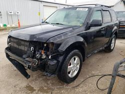 Salvage cars for sale at Pekin, IL auction: 2011 Ford Escape XLT