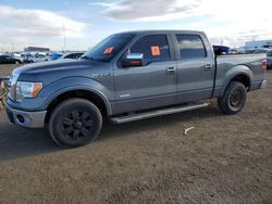 Salvage cars for sale at Brighton, CO auction: 2012 Ford F150 Supercrew