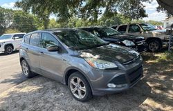 Salvage cars for sale at Riverview, FL auction: 2014 Ford Escape SE