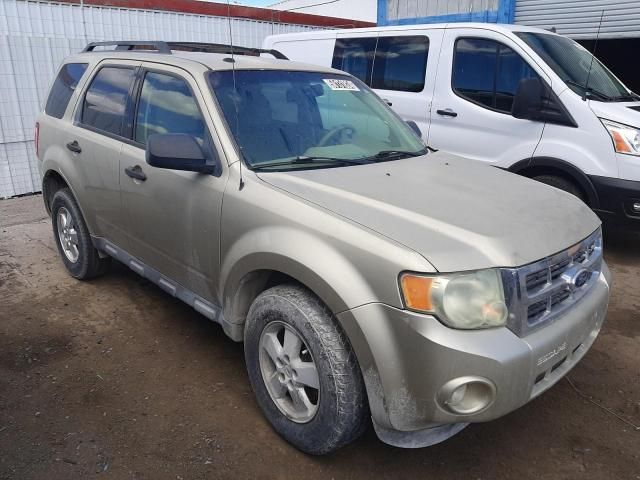 2011 Ford Escape XLT