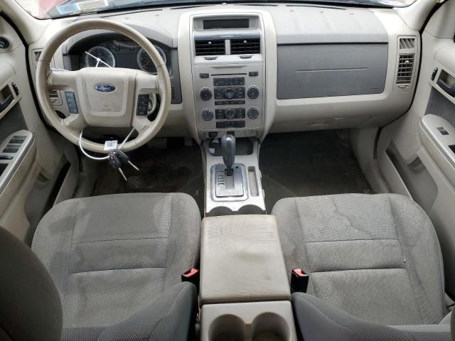 2009 Ford Escape XLT