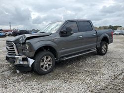 Salvage cars for sale from Copart Opa Locka, FL: 2015 Ford F150 Supercrew