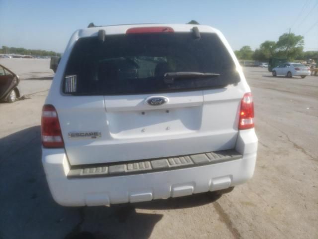 2008 Ford Escape XLT