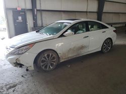 Hyundai Sonata salvage cars for sale: 2013 Hyundai Sonata SE