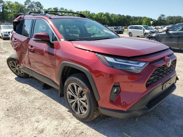 2024 Toyota Rav4 XLE Premium