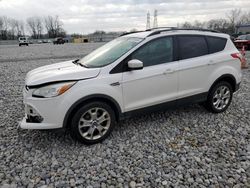 Salvage cars for sale at Barberton, OH auction: 2013 Ford Escape SE