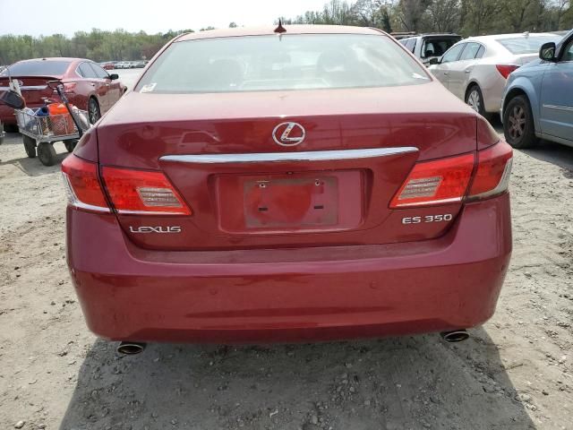 2010 Lexus ES 350