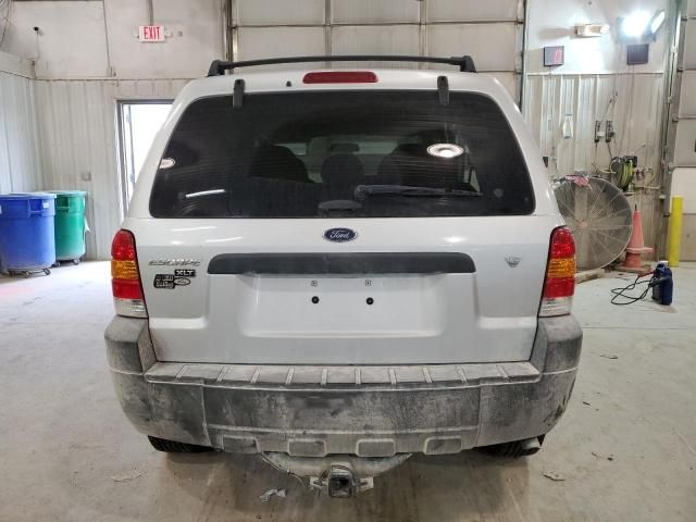 2007 Ford Escape XLT