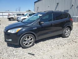 Salvage cars for sale from Copart Appleton, WI: 2013 Ford Escape SEL