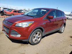 Salvage cars for sale at Brighton, CO auction: 2016 Ford Escape SE