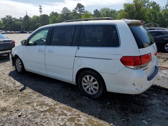 2009 Honda Odyssey EXL