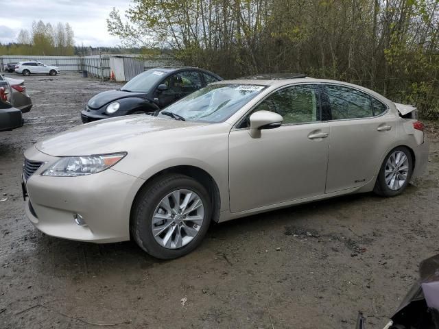 2013 Lexus ES 300H