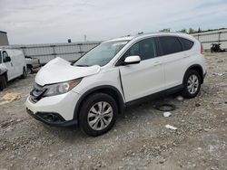 Salvage cars for sale at Earlington, KY auction: 2013 Honda CR-V EXL