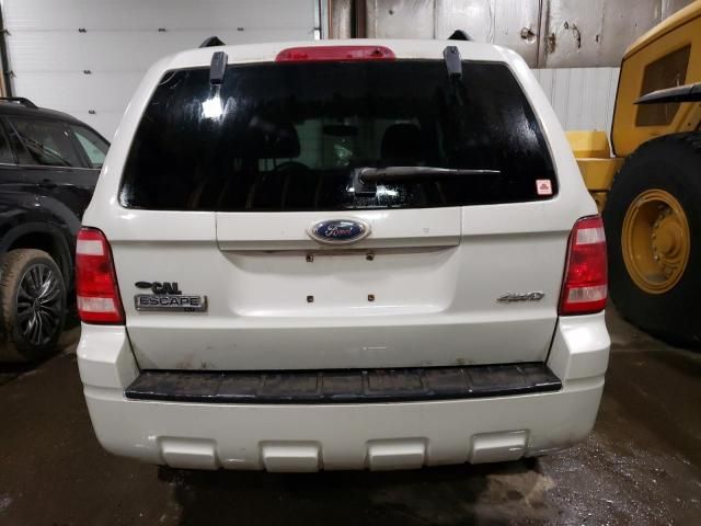 2008 Ford Escape XLT