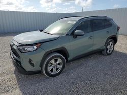 Salvage cars for sale at Arcadia, FL auction: 2020 Toyota Rav4 XLE