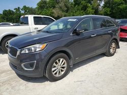 Salvage cars for sale at Ocala, FL auction: 2017 KIA Sorento LX