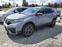 Salvage cars for sale from Copart Graham, WA: 2020 Honda CR-V EXL