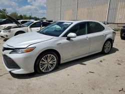 Salvage cars for sale from Copart Lawrenceburg, KY: 2020 Toyota Camry XLE