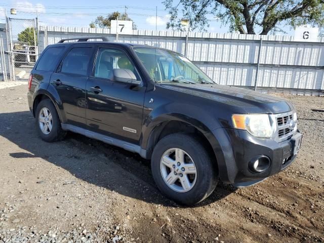 2008 Ford Escape HEV