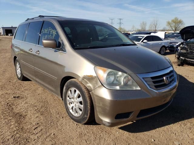 2008 Honda Odyssey EXL