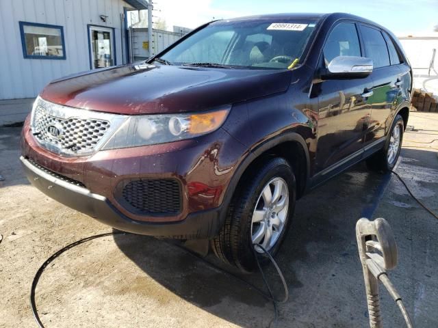 2011 KIA Sorento Base