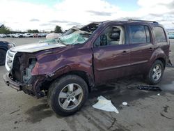 Salvage cars for sale from Copart Pennsburg, PA: 2011 Honda Pilot EXL
