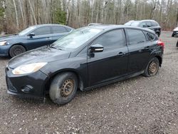 Ford Focus salvage cars for sale: 2013 Ford Focus SE