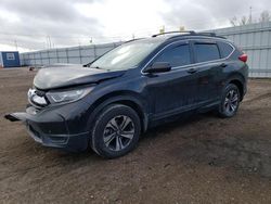 Salvage cars for sale at Greenwood, NE auction: 2019 Honda CR-V LX