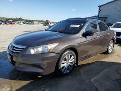 2011 Honda Accord EXL en venta en Memphis, TN