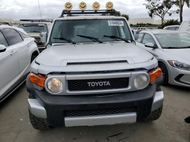 2007 Toyota FJ Cruiser